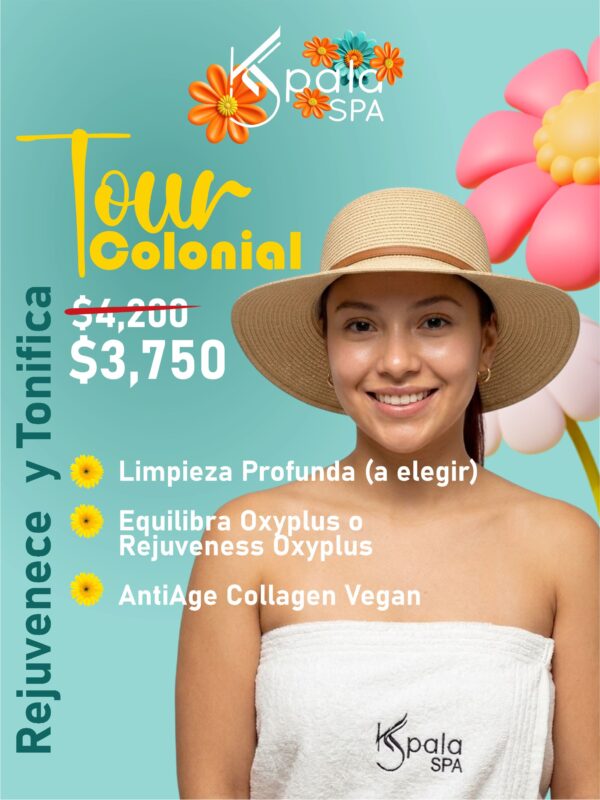 Limpieza Facial