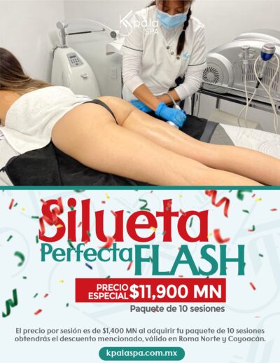 silueta perfecta